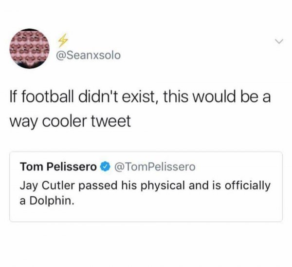 dolphin.jpg