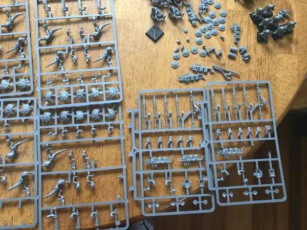 IMG_0439.jpg IMG_0439.jpg