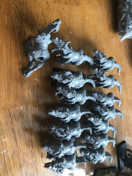 IMG_0430.jpg IMG_0430.jpg