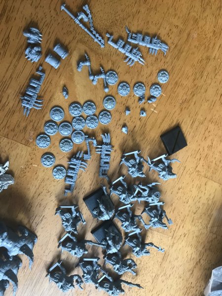 IMG_0434.jpg IMG_0434.jpg