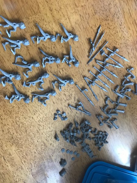 IMG_0435.jpg IMG_0435.jpg