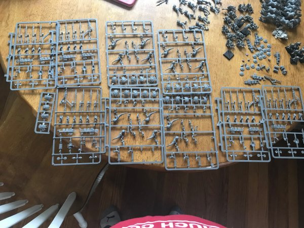 IMG_0437.jpg IMG_0437.jpg