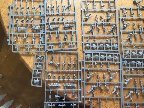 IMG_0438.jpg IMG_0438.jpg