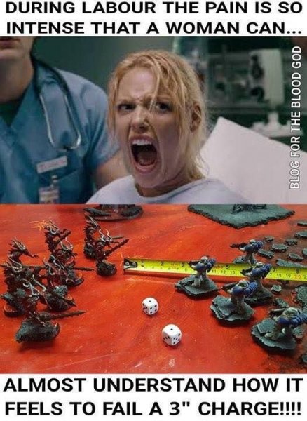 928627c867e75ff3444c6c09b0e87732--warhammer-memes-warhammer-k-funny.jpg