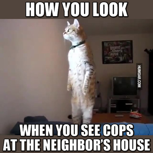 how-you-look-when-you-see-cops-at-the-neighbors-house.jpg