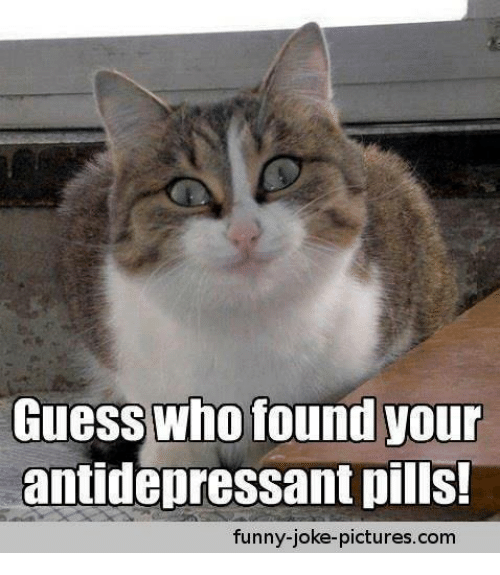 guess-who-found-your-antidepressant-pills-funny-joke-pictures-7085207.png