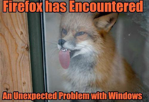 firefox_error.jpg