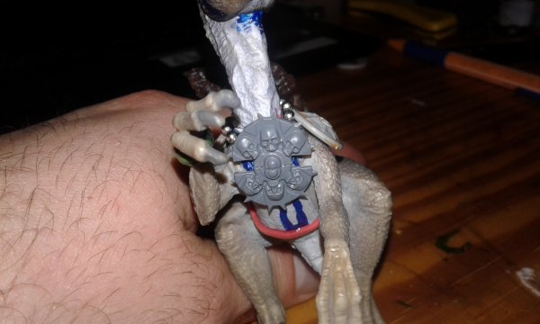 20171231_015310.jpg 20171231_015310.jpg