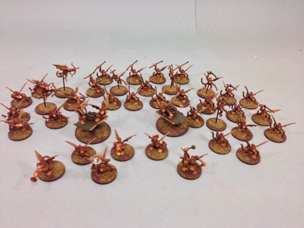 flying monkey warband.JPG