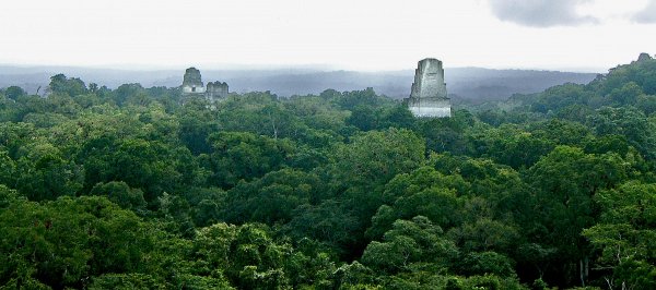 W0815-Tikal-FeaturePage.jpg