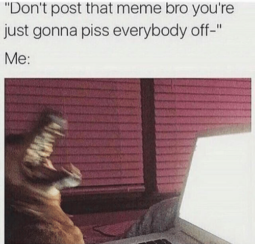 dont-post-that-meme-bro-youre-just-gonna-piss-everybody-26253593-1.png