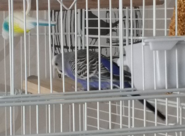 IMG_20170429_150816072.jpg IMG_20170429_150816072.jpg