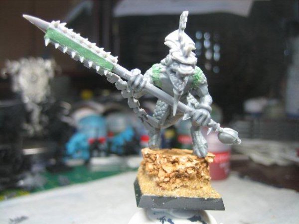 SvarVetConversion006.jpg