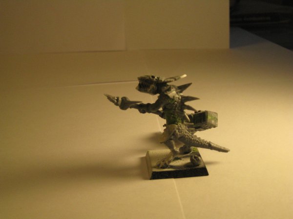 img2237yg.jpg img2237yg.jpg