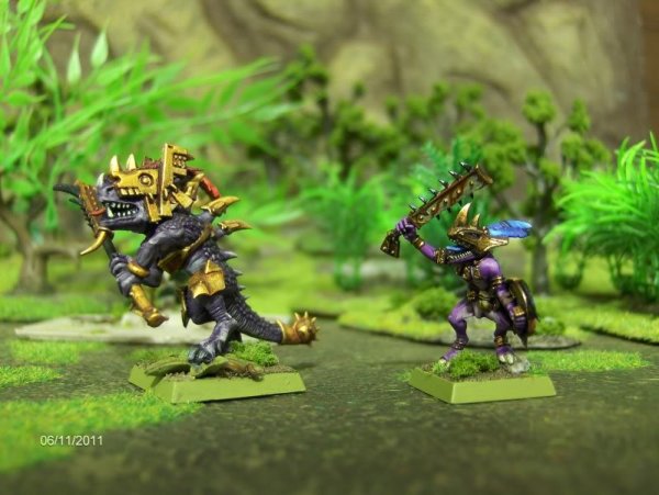 ScarVeteranandSkinkChief.jpg ScarVeteranandSkinkChief.jpg