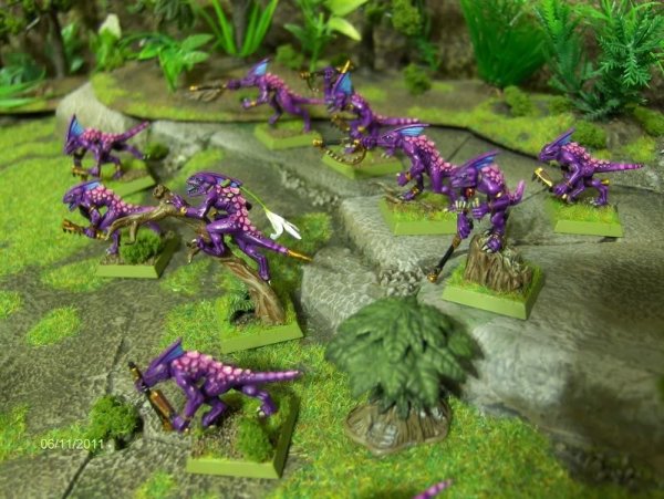 Skinks2.jpg Skinks2.jpg