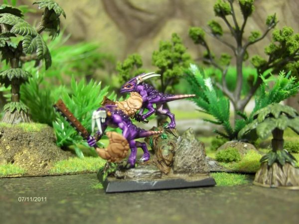 SkinkGuard1.jpg SkinkGuard1.jpg