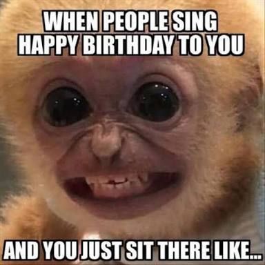 a94ed9218f21262f994188326015e659--happy-b-day-lol-memes.jpg