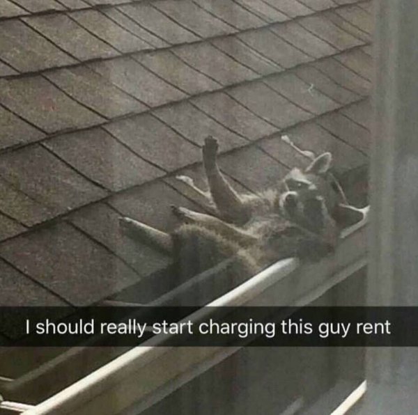 29572756_1551564338281192_3037451073800478900_n.jpg 29572756_1551564338281192_3037451073800478900_n.jpg