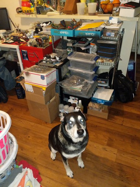 15232444440817827687365905701693.jpg 15232444440817827687365905701693.jpg