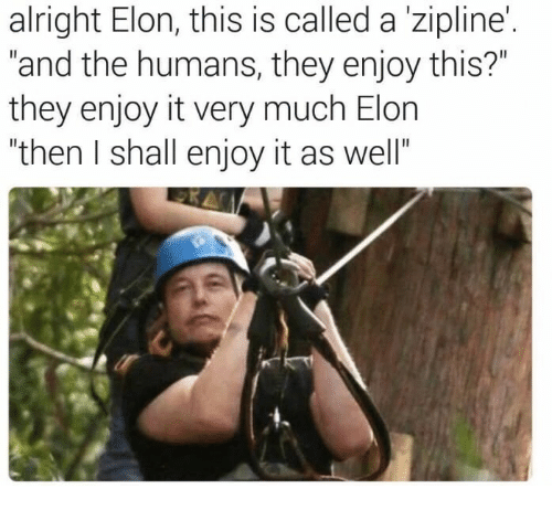 alright-elon-this-is-called-a-zipline-and-the-humans-28981556.png