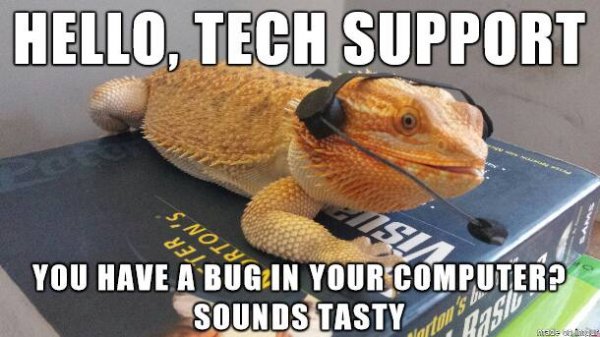 tech support lizard.jpg