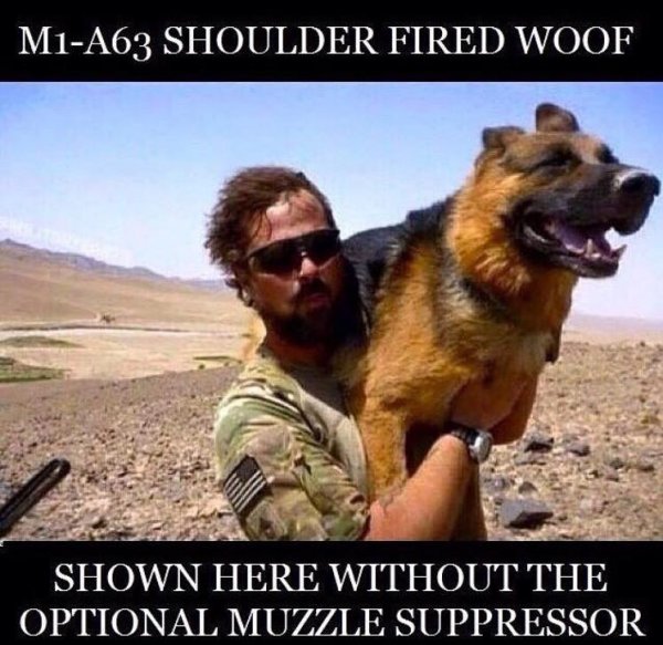 m1-a63-shoulder-fired-woof.jpg