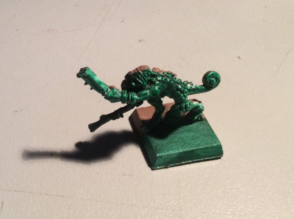 Chameleon Skink 1.jpg