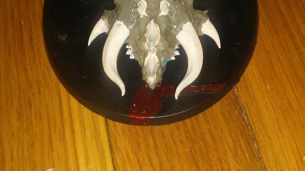 15262396062641089188976.jpg 15262396062641089188976.jpg