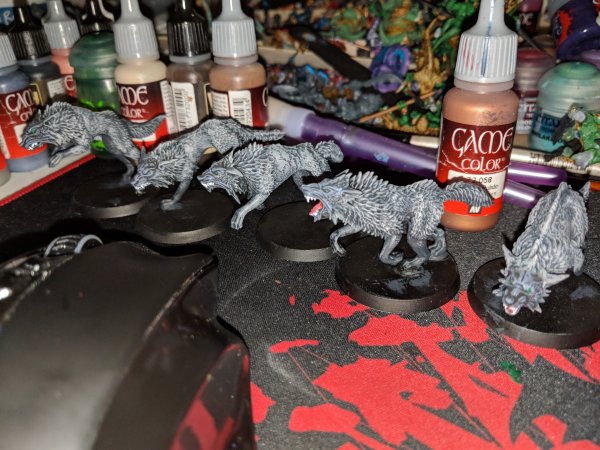 IMG_20180513_095854.jpg IMG_20180513_095854.jpg