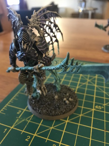 729812A6-596C-49D8-A254-9BED25927DDF.jpeg 729812A6-596C-49D8-A254-9BED25927DDF.jpeg