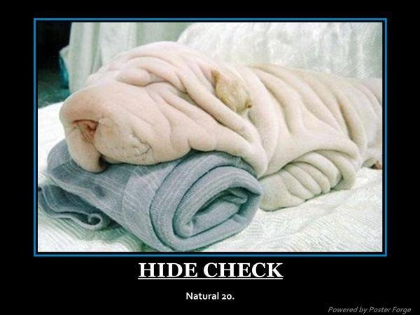 motivationalhidedog.jpg