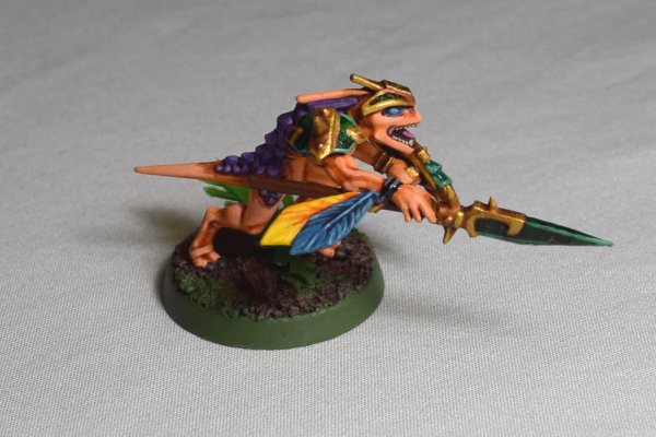 Skinks (1).JPG