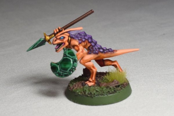 Skinks (4).JPG