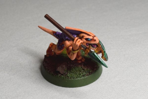 Skinks (5).JPG