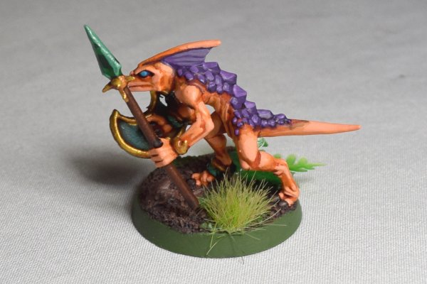 Skinks (6).JPG