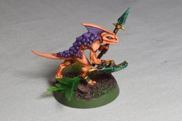 Skinks (7).JPG