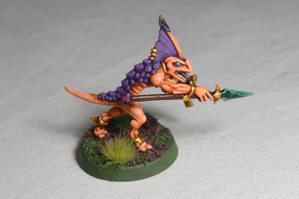 Skinks (8).JPG