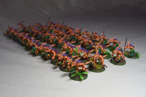 Skinks (10).JPG