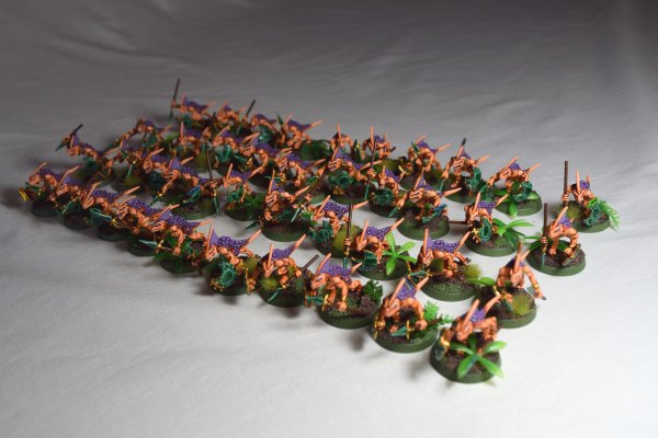 Skinks (12).JPG