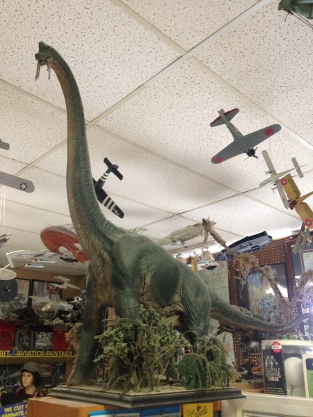 warden201807_local game store_thunder lizard.jpg warden201807_local game store_thunder lizard.jpg