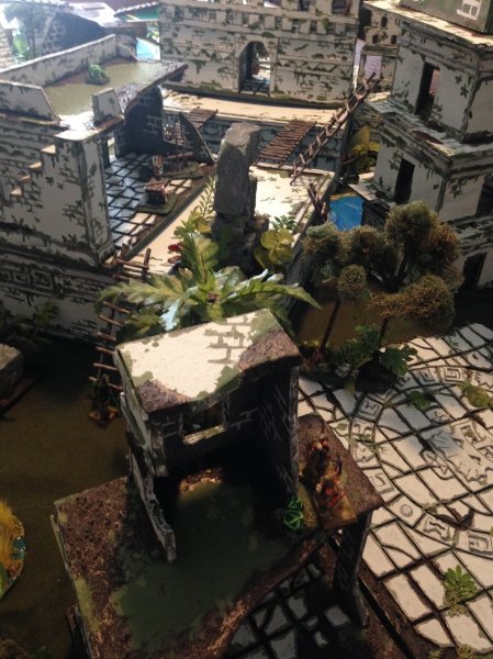 warden20180704_wood elf battle shot 1.jpg warden20180704_wood elf battle shot 1.jpg