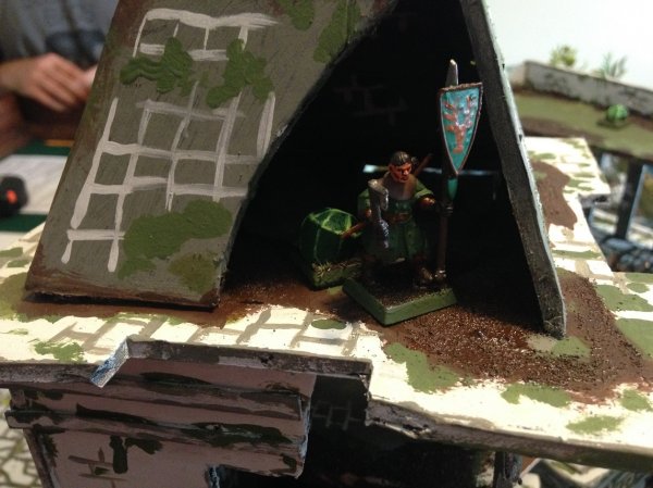 warden20180704_wood elf battle shot 2.jpg warden20180704_wood elf battle shot 2.jpg