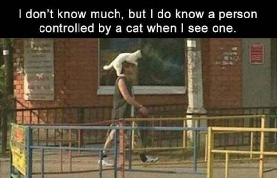 13_funny_photos_5_12_17-568x366.jpeg