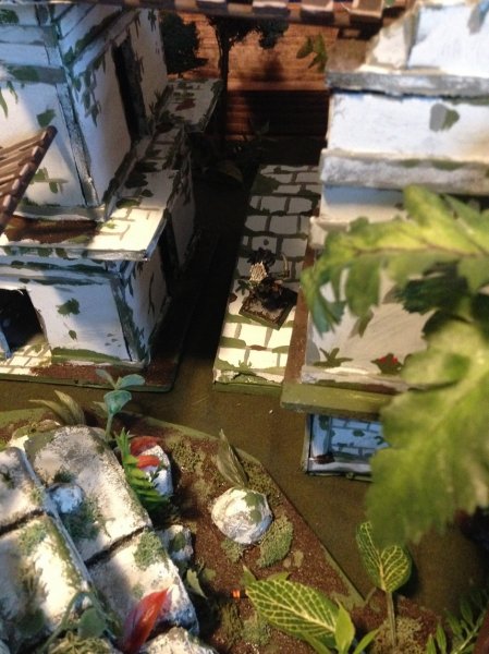 warden20180708_Lizardmen Strike Back first turns 6.jpg warden20180708_Lizardmen Strike Back first turns 6.jpg