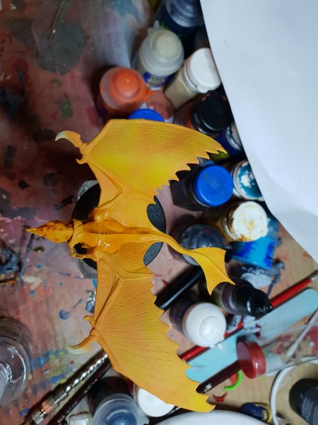 20180903_121305.jpg