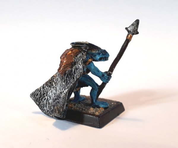 Skink chief 2.jpg