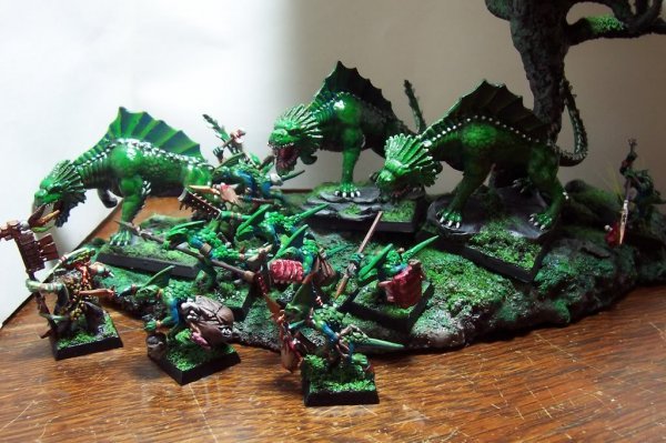 n810 salamanders.jpg n810 salamanders.jpg