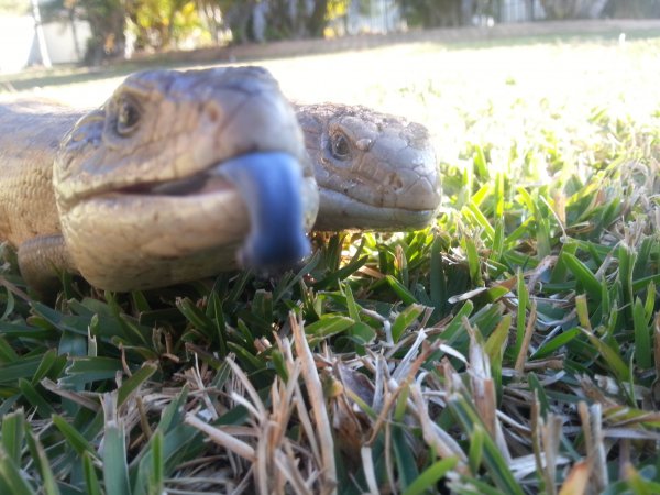 2015-08-13 16.09.21.jpg