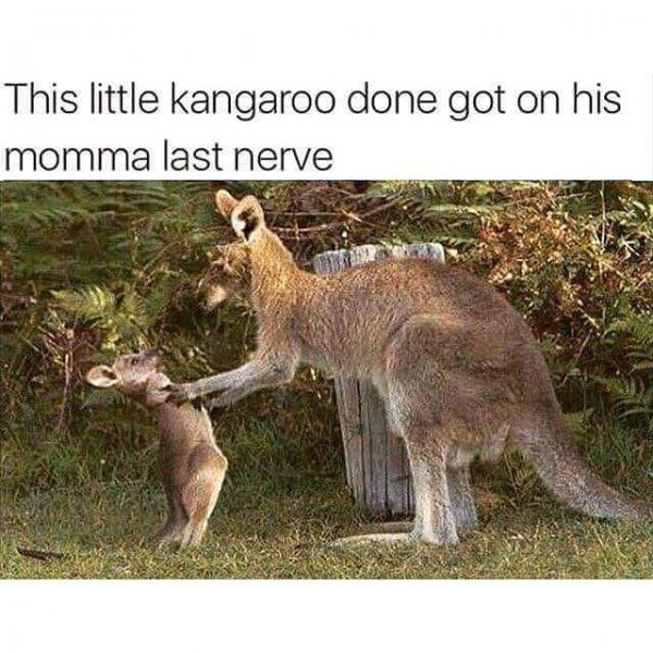 41061150_10216996093752660_4974166943083790336_n.jpg 41061150_10216996093752660_4974166943083790336_n.jpg